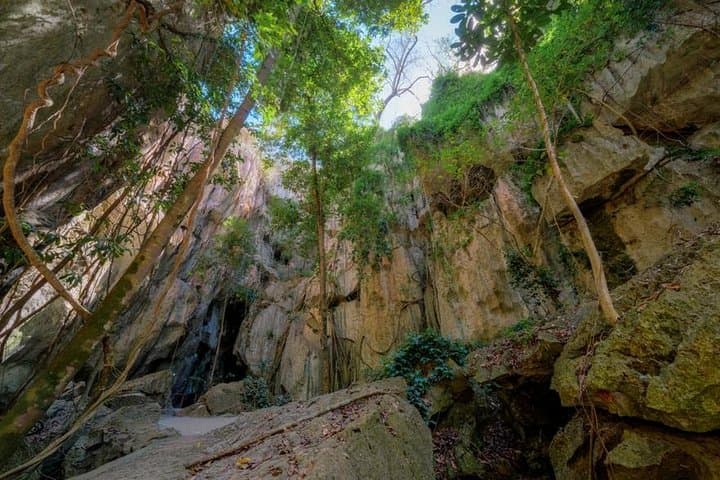 Capricorn Caves Cathedral Cave Tour: Guided 45-Min Walk Through Queensland Limestone Caverns photo 2