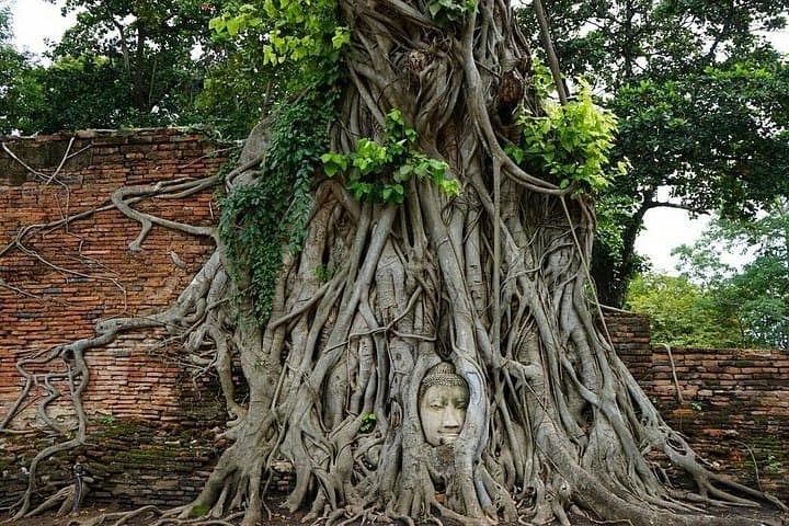 Ayutthaya to Khao Yai: Full-Day UNESCO World Heritage Tour from Bangkok photo 1