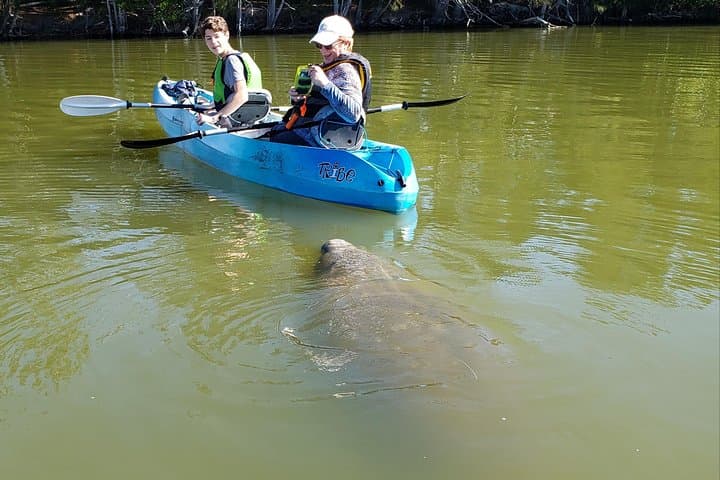 Space Coast Manatee & Dolphin Kayak Tour — Titusville Wildlife Refuge photo 2