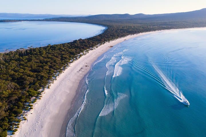 Maria Island Cruise & Guided Walk: Wildlife, Convict History and Lunch from Triabunna