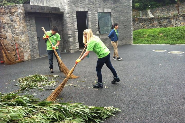 Volunteer with Giant Pandas at Dujiangyan Panda Base — Day Rescue Center Experience photo 6