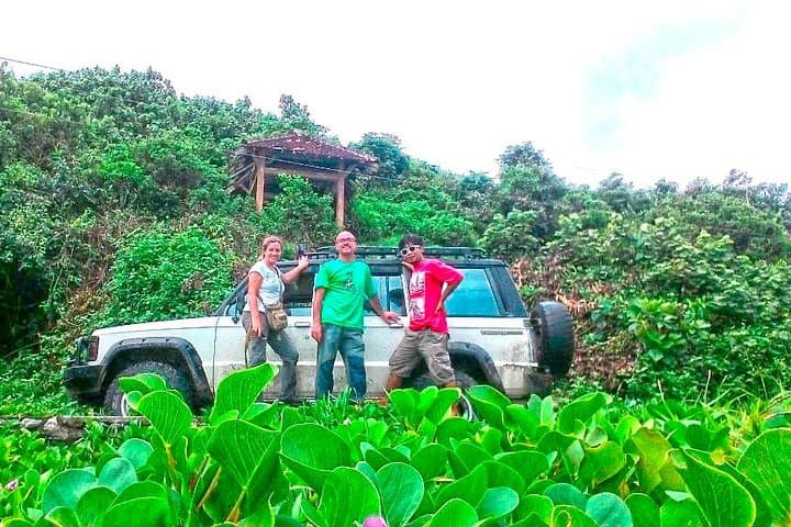 Sukamade Turtle Beach Tour: Night Nesting and Baby Turtle Release in Meru Betiri photo 3