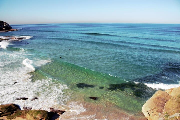 Bondi Beach and Beyond: Private Coastal Walk, Watsons Bay & Paddington Highlights photo 2