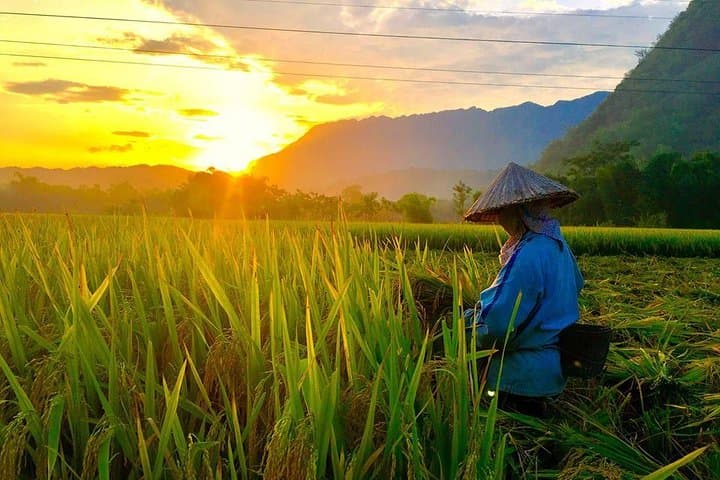 Mai Chau Valley 2-Day Homestay & Trek from Hanoi — Rice Fields, Limestone Hills, 1,000-Step Cave photo 3