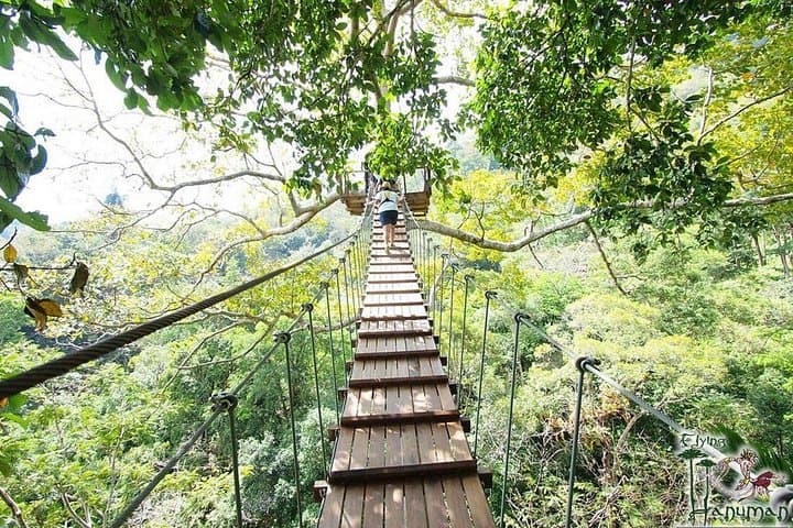 Flying Hanuman Zipline Phuket: Canopy Zipline Adventure & Jungle Tour photo 3