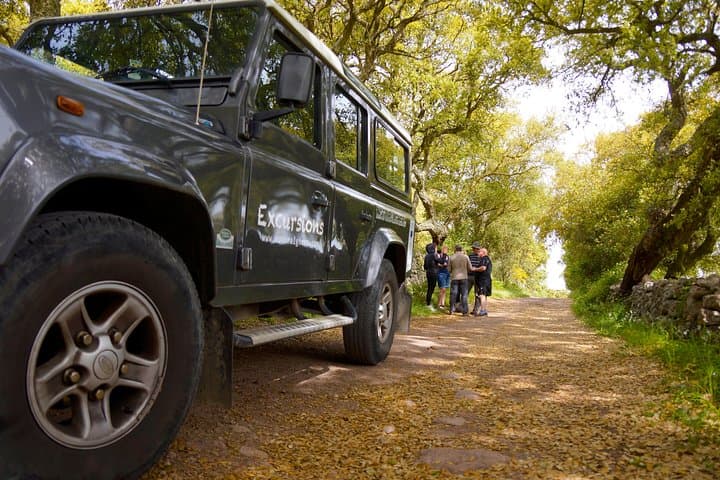 Alghero Jeep Tour: Off-Road Gulf Viewpoints, Nuragic Park & Cork Oak Forests photo 6