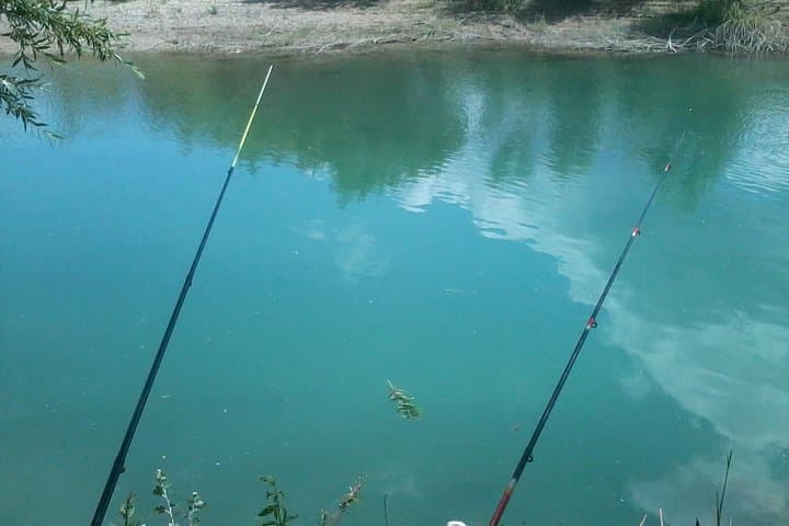 Morning Fishing in Provence: Pike, Carp & River Apéritif