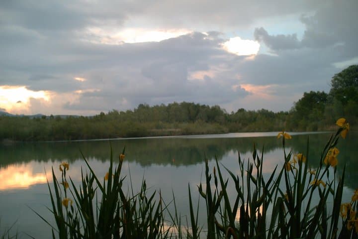 Morning Fishing in Provence: Pike, Carp & River Apéritif photo 5