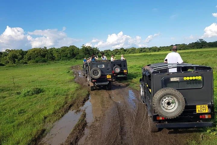 Wilpattu Safari from Negombo: Leopards, Willus & Wild Plains photo 3