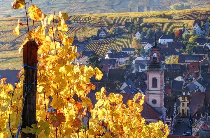 Alsace Day Tour from Colmar: Haut-Koenigsbourg, Riquewihr & Wine Route photo 3