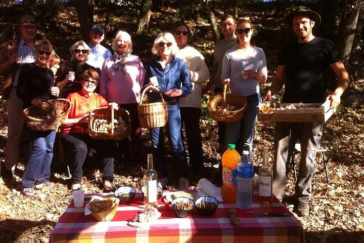 Mushroom Hunting in Provence's Luberon: Forage Ceps, Chanterelles & Black Trumpets photo 3