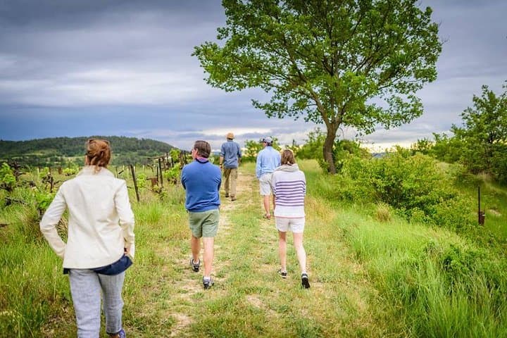 Foraging in Provence: Luberon Herb Walk, Fossils & Apéritif
