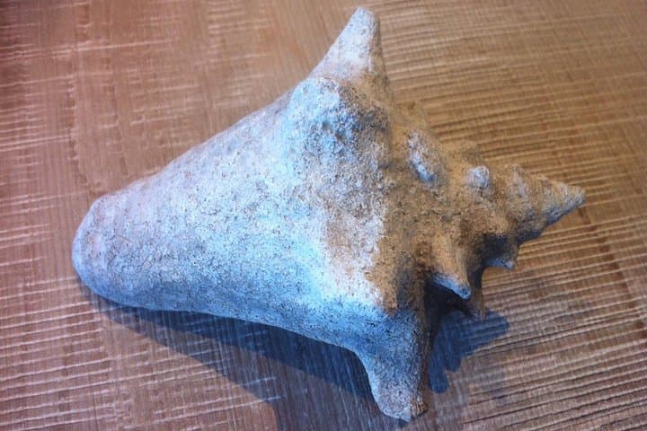 Foraging in Provence: Luberon Herb Walk, Fossils & Apéritif photo 4