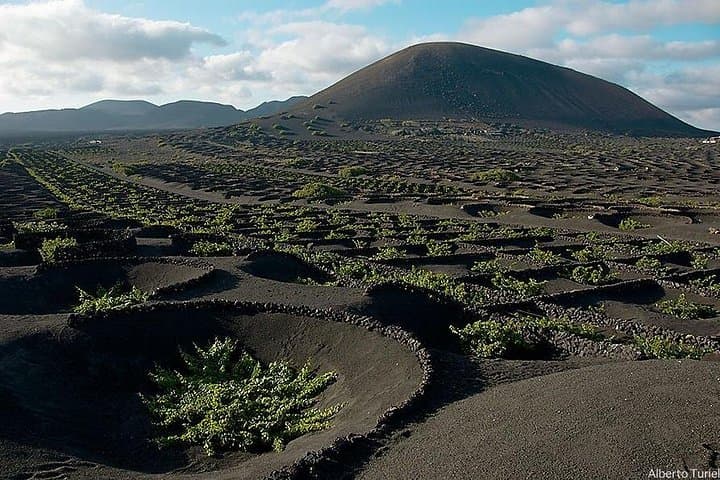 Lanzarote Full-Day Island Tour: Timanfaya, Jameos & Wine Tasting photo 3