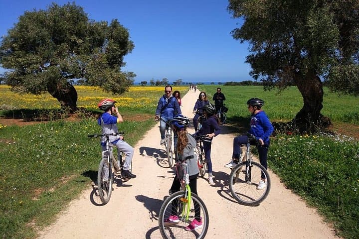 Puglia Masserias Bike Tour: Olive Oil Tasting from Montalbano