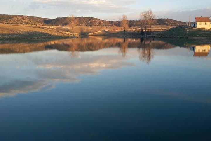 Middle Atlas Day Hike from Fez: Ifrane & Azrou Excursion photo 3