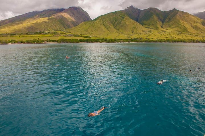 Molokini and Turtle Arches Snorkeling Trip from Ma'alaea Harbor — Maui's Best Day-Boat Adventure photo 6