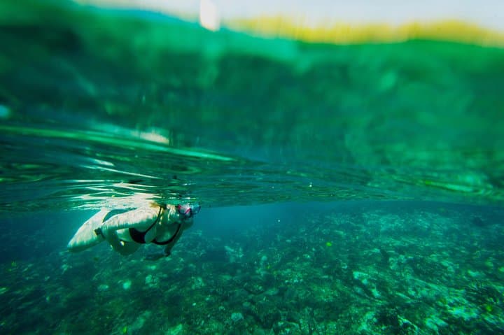 Explore Kealakekua Bay: Snorkeling Adventure & History on a Power Catamaran photo 6