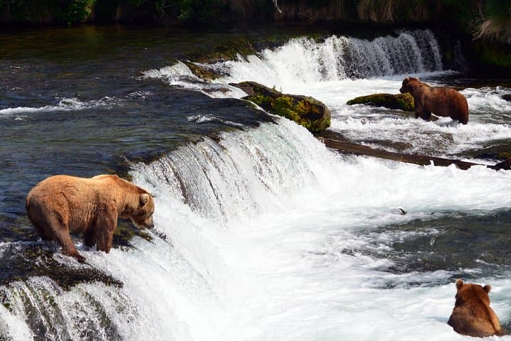 Float-Plane to Brooks Falls: Katmai Bear Viewing & Photography Guide photo 2