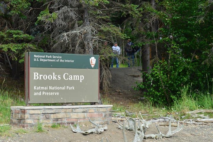 Float-Plane to Brooks Falls: Katmai Bear Viewing & Photography Guide photo 3
