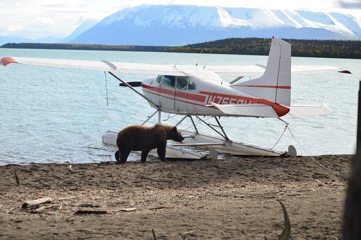 Float-Plane to Brooks Falls: Katmai Bear Viewing & Photography Guide photo 4