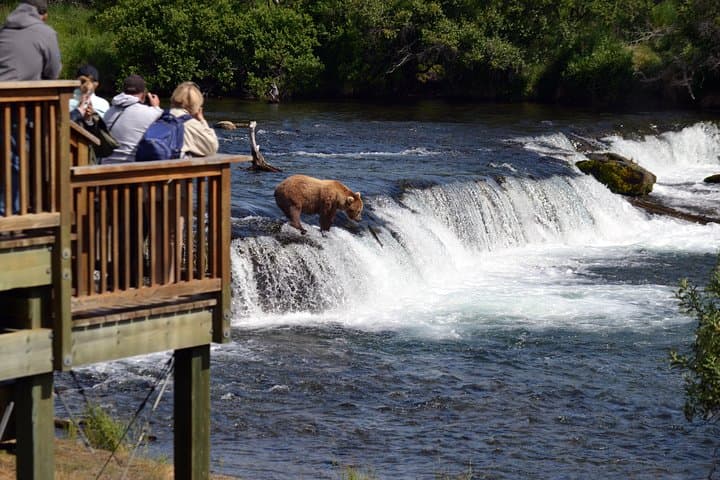Float-Plane to Brooks Falls: Katmai Bear Viewing & Photography Guide photo 5