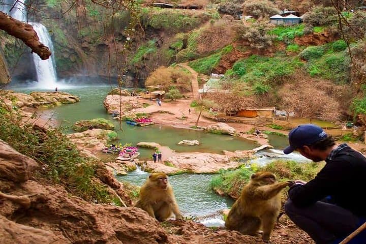 Ouzoud Waterfalls: High Atlas Day Trip from Marrakech to Morocco's Highest Falls photo 6