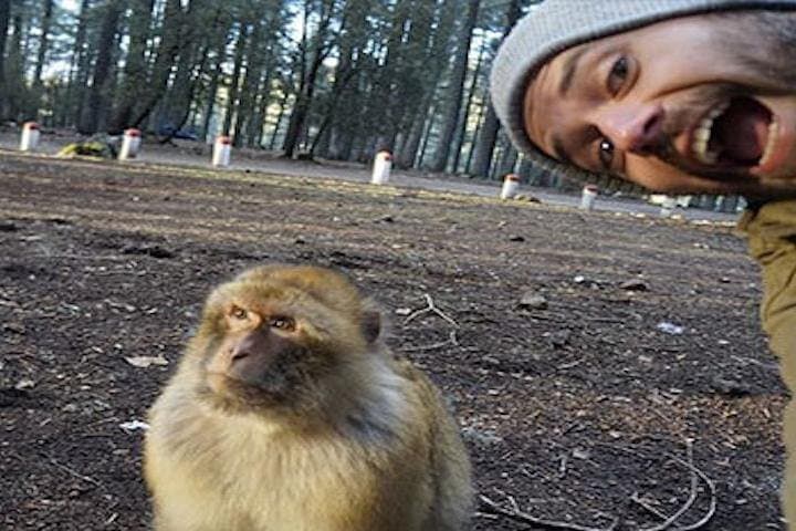 Fez to the Middle Atlas: Day Trip to Ifrane, Cedar Forests & Barbary Apes photo 2