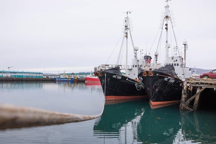 Reykjavik Hop-On Hop-Off: 24 or 48‑Hour City Loop from Harpa to Hallgrímskirkja photo 4