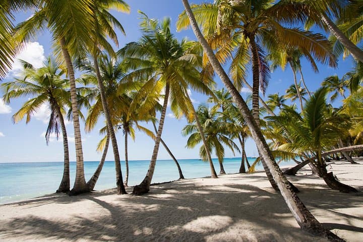 Saona Island Day Trip from Punta Cana: Catamaran, Natural Pool & Beach BBQ photo 2