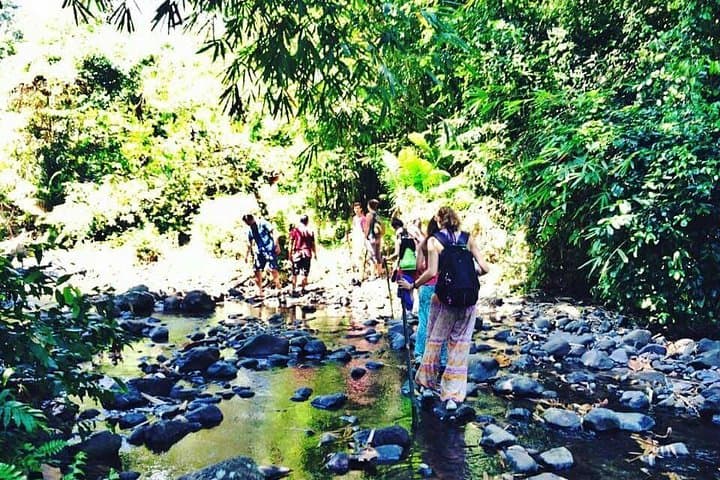 Tetebatu Panorama Walk: Rice Terraces, Waterfalls & Mount Rinjani Views