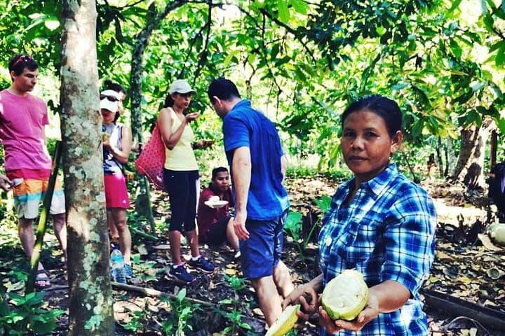 Tetebatu Panorama Walk: Rice Terraces, Waterfalls & Mount Rinjani Views photo 3