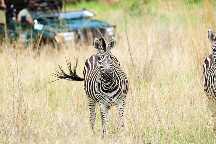 Garden Route 3-Day Luxury: Cape Town to Knysna Adventure photo 1