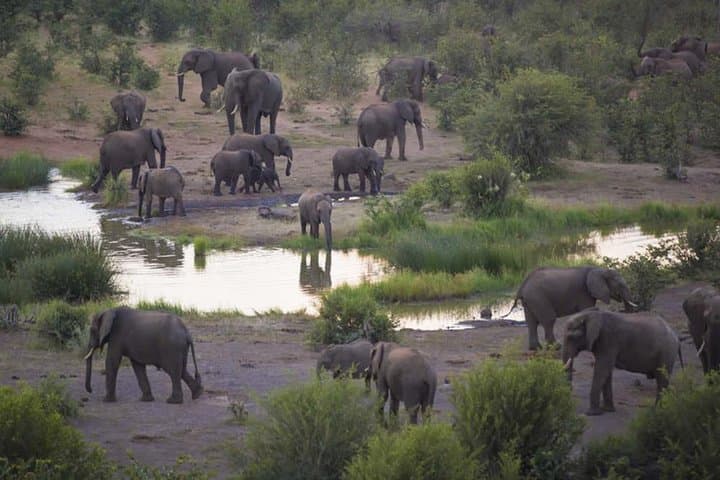 Garden Route 3-Day Luxury: Cape Town to Knysna Adventure photo 4