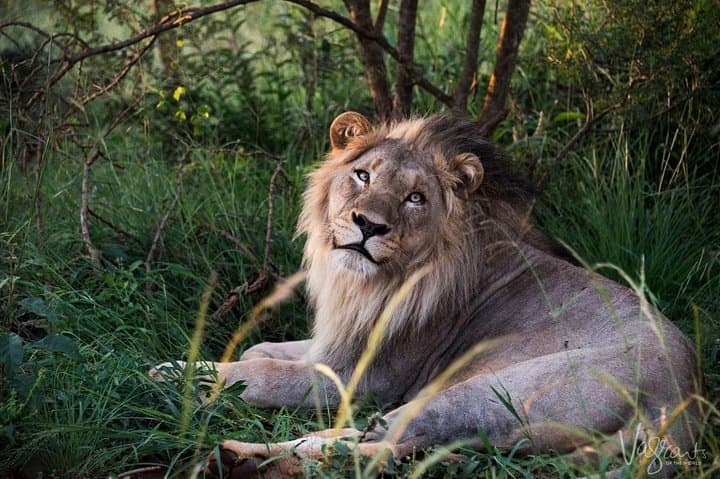 Garden Route 3-Day Luxury: Cape Town to Knysna Adventure photo 2