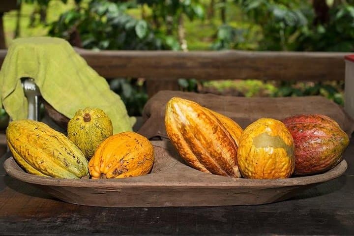Arenal Chocolate Workshop and Baldi Hot Springs Day Trip from San José photo 5