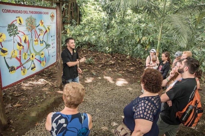 Arenal Chocolate Workshop and Baldi Hot Springs Day Trip from San José photo 6
