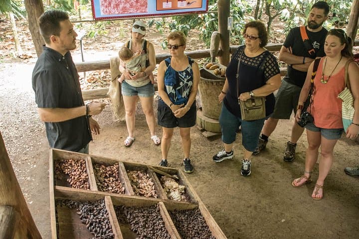 Arenal Chocolate Workshop and Baldi Hot Springs Day Trip from San José photo 3