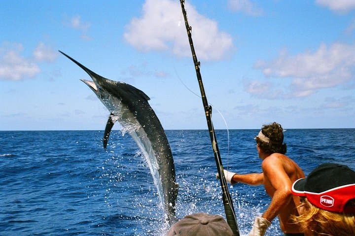 Central Pacific Costa Rica Full-Day Private Sport Fishing from San Jose