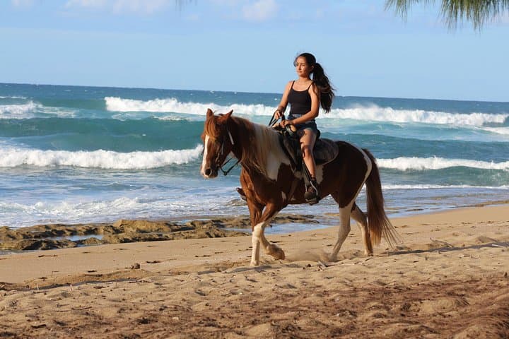 Horseback Riding on Rincón's Secluded Beaches and Tropical Forests photo 2