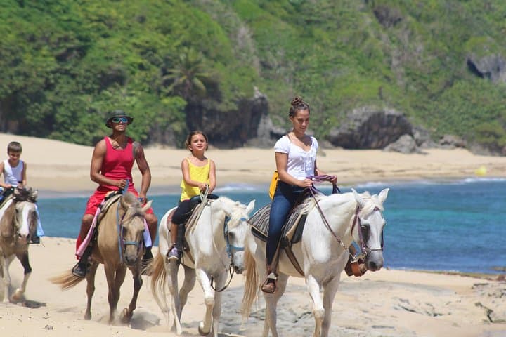 Horseback Riding on Rincón's Secluded Beaches and Tropical Forests photo 4