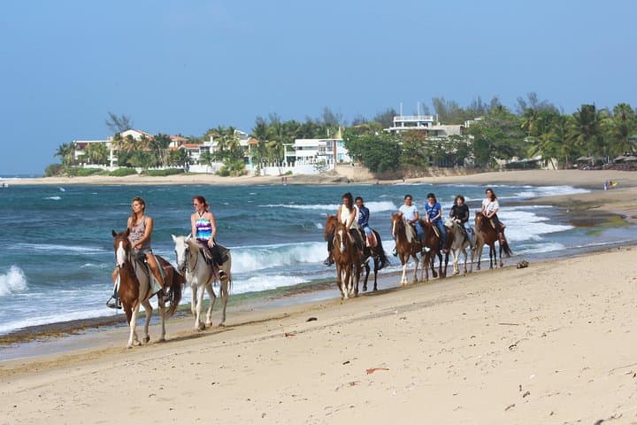 Horseback Riding on Rincón's Secluded Beaches and Tropical Forests photo 6