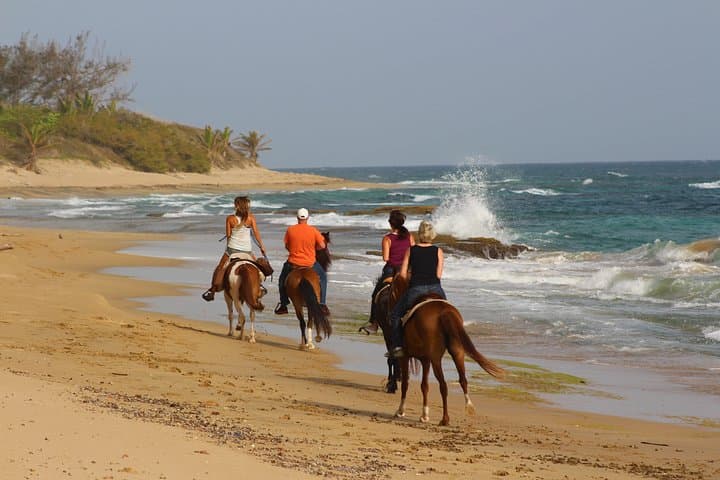 Horseback Riding on Rincón's Secluded Beaches and Tropical Forests photo 3