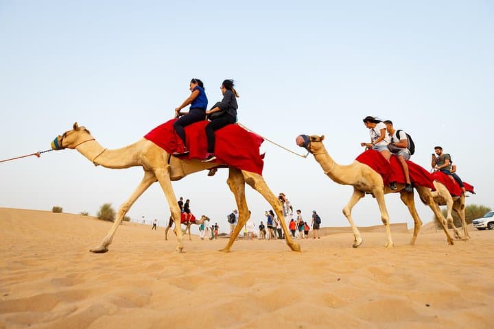 Dubai Super Saver: City Tour and Premium Desert Safari Combo photo 2