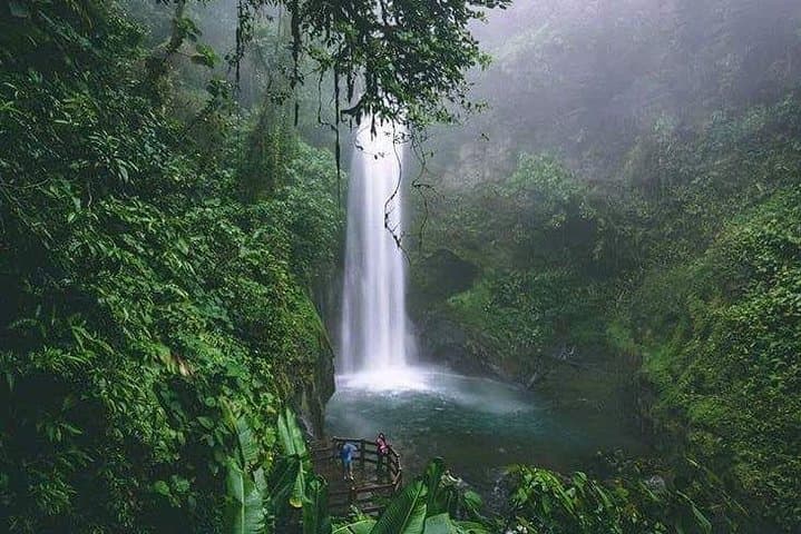 La Paz Waterfall Gardens Private Tour: San José Day Trip to Waterfalls & Wildlife photo 3