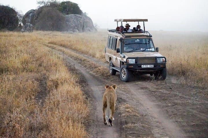 Serengeti & Ngorongoro: 5-Day Safari Through Tanzania's Wildlife Heartland