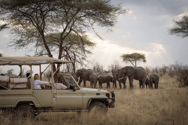 Serengeti & Ngorongoro: 5-Day Safari Through Tanzania's Wildlife Heartland photo 2