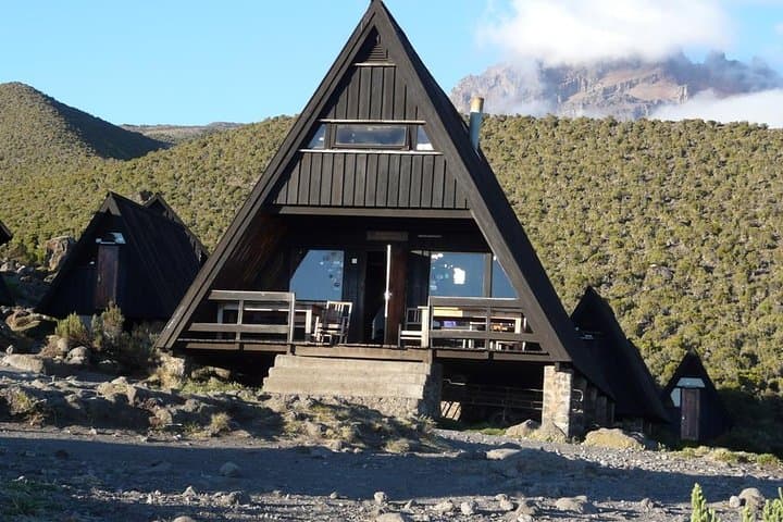 Kilimanjaro Day Hike to Mandara Hut from Moshi — Rainforest Trek & Views photo 3