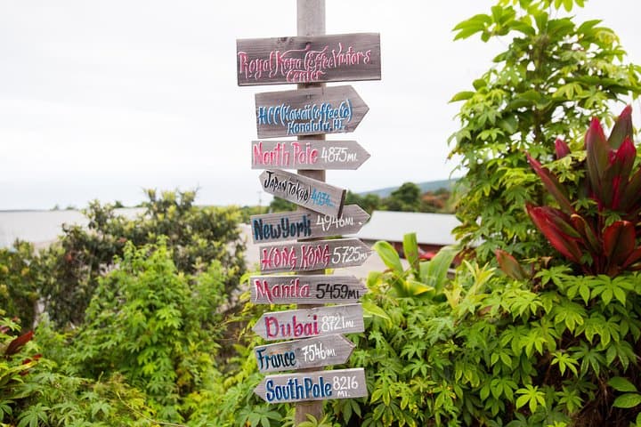 Explore Hawaii Volcanoes National Park on a Day Trip from Oahu to Hilo photo 3