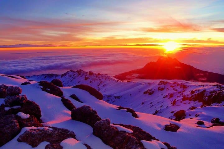 Shira Route Kilimanjaro 8-Day Itinerary — Summit via Moir, Barranco & Barafu photo 3